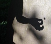 my shadow on a gravestone, holding a flower